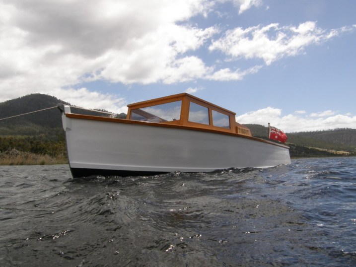 resting New Norfolk.JPG