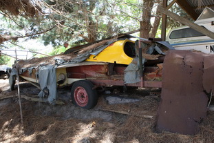 IMG_0113_resize_resize.JPG