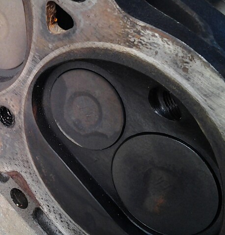 20140226_083257-1.jpg