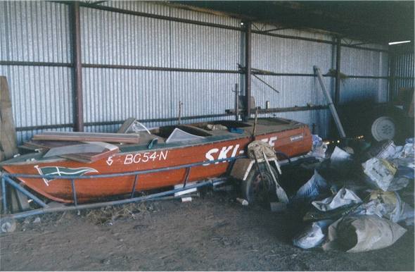 SkiBee 01.jpg