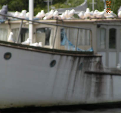 launy wooden boat rallt 055.jpg