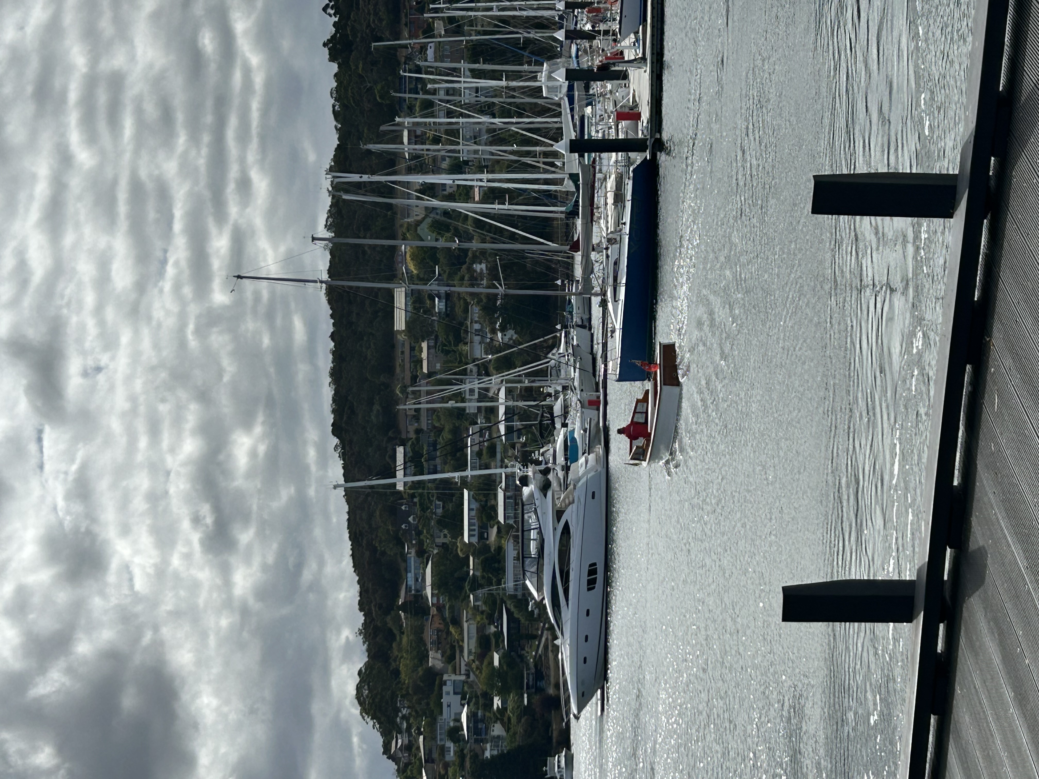 IMG_4923.jpeg