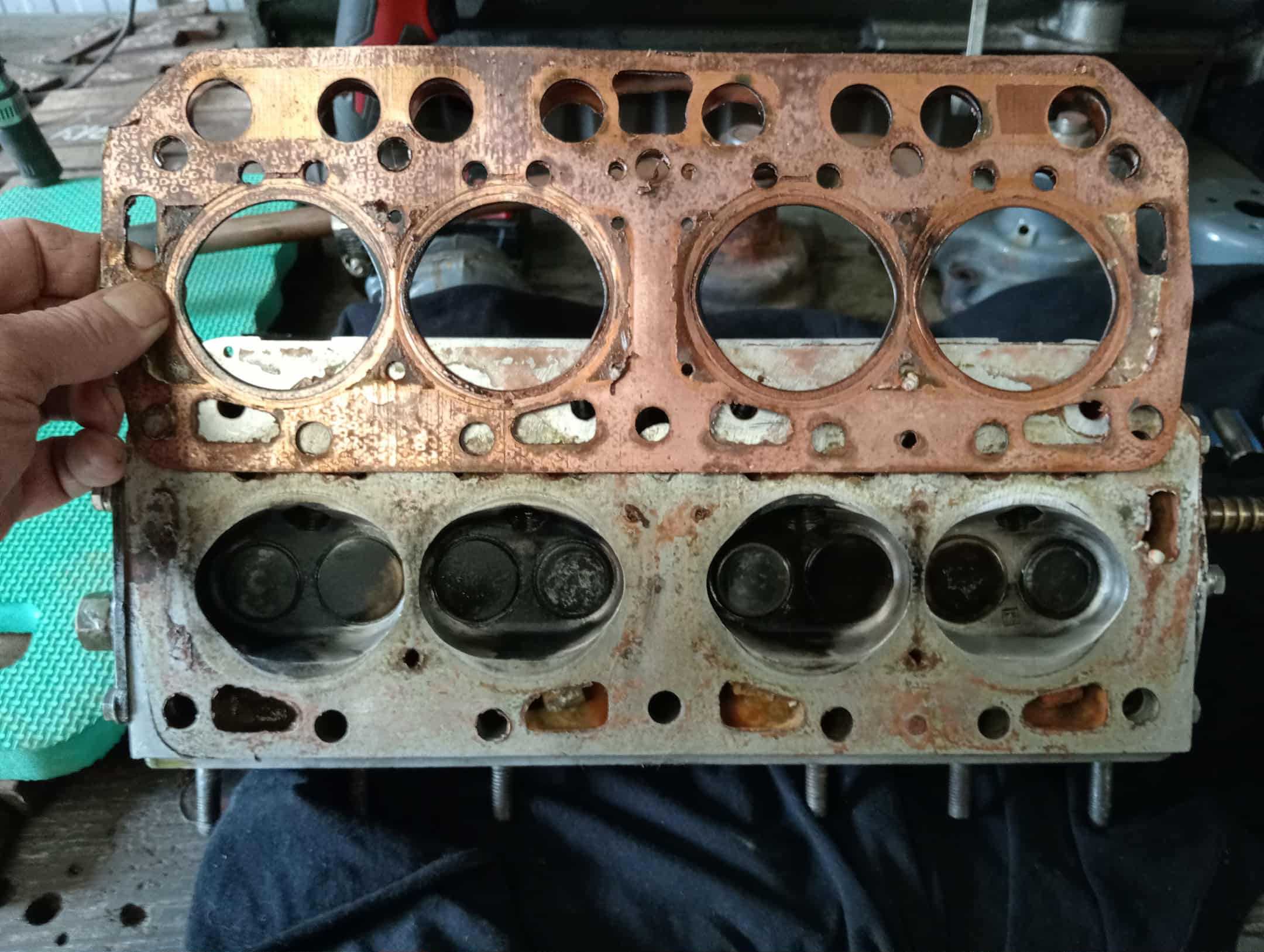 7f41b637-6f7a-4843-8477-14137fa37624 (1).jpg